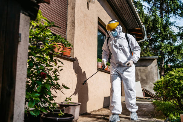 Best Commercial Pest Control Services  in Cajahs Mountain, NC