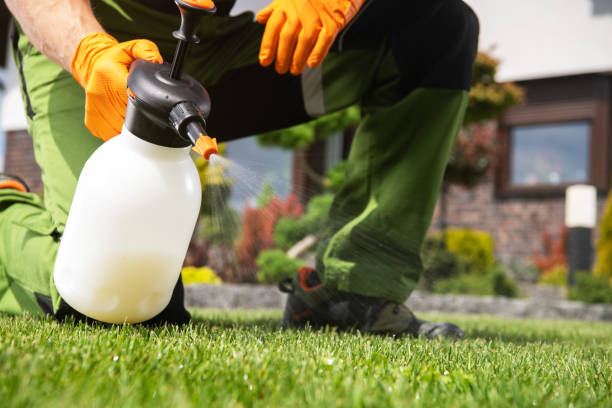 Best Pest Control for Homes  in Cajahs Mountain, NC