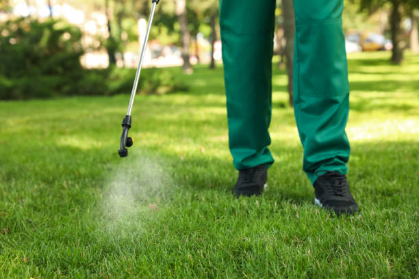 Best Local Pest Control Services  in Cajahs Mountain, NC