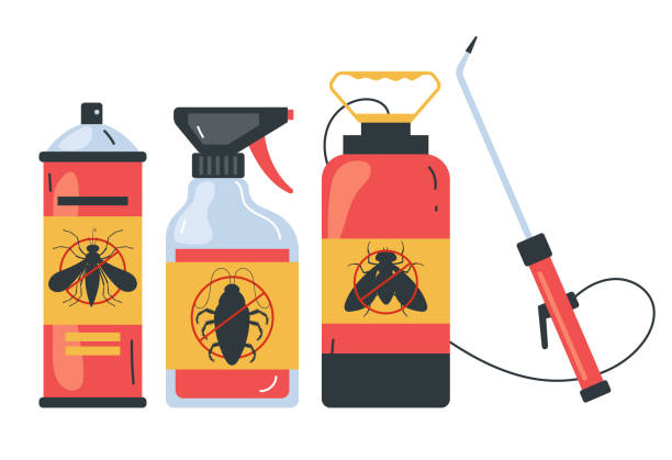 Best Ant Control Services  in Cajahs Mountain, NC